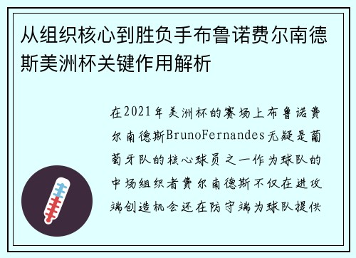 从组织核心到胜负手布鲁诺费尔南德斯美洲杯关键作用解析